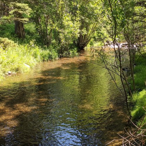 Trout Lodge - Pecos River