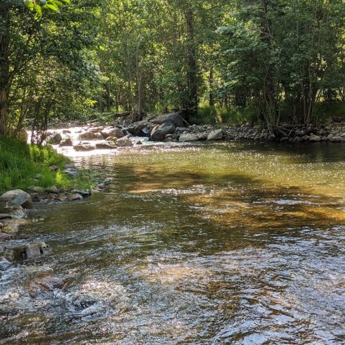 Trout Lodge - Pecos River