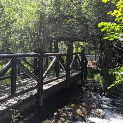 Trout Lodge - Treehouse